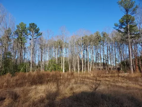 9024 Lee Dr, Spring Hope, NC 27882 photo 3