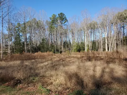 9024 Lee Dr, Spring Hope, NC 27882 photo 4