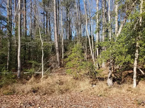 9024 Lee Dr, Spring Hope, NC 27882 photo 5