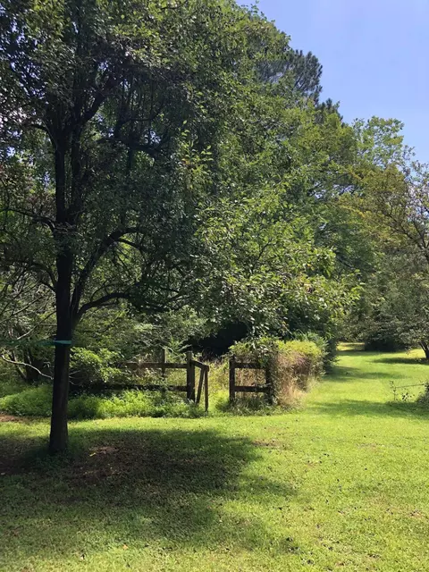 2720 Beck Rd, Durham, NC 27704 photo 39