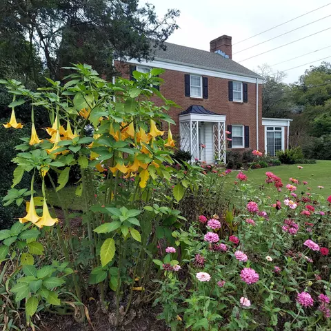 100 W Garner Rd, Garner, NC 27529 photo 1
