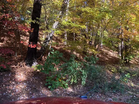 1900 Durham Rd, Wake Forest, NC 27587 photo 2