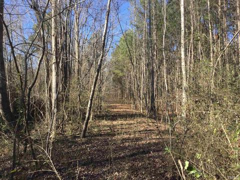 199 Eason Ln, Angier, NC 27501 photo 10