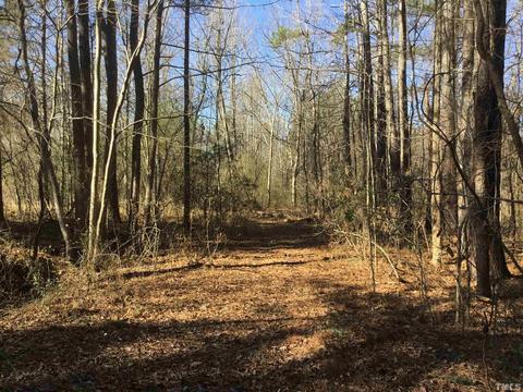 199 Eason Ln, Angier, NC 27501 photo 9