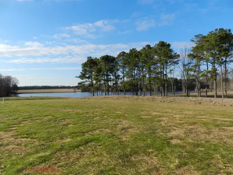 59 Fall Bridge Cir, Benson, NC 27504 photo 6