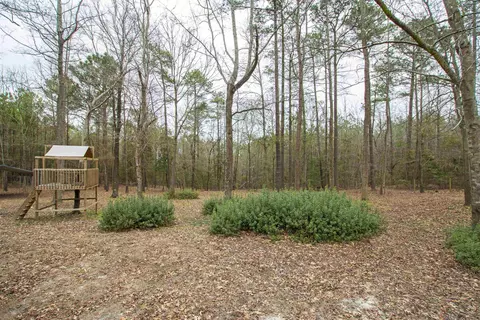 520 Old Stage Rd, Willow Spring, NC 27592 photo 39