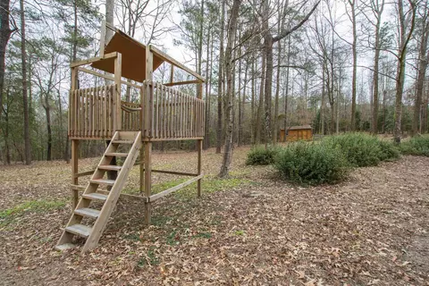 520 Old Stage Rd, Willow Spring, NC 27592 photo 41