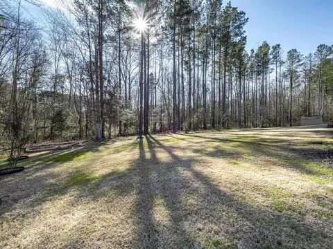 216 Windy Creek Dr, Willow Spring, NC 27592 photo 33