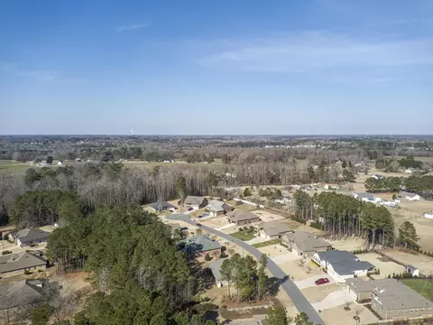 216 Windy Creek Dr, Willow Spring, NC 27592 photo 41