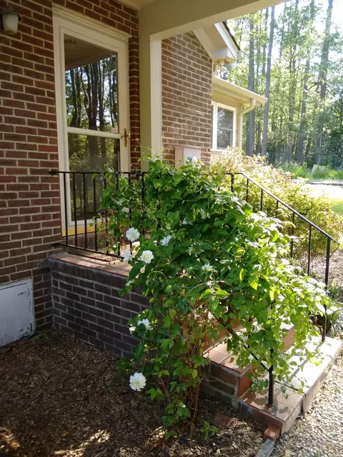 208 Monticello Ave, Durham, NC 27707 photo 29