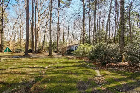 1017 Creek Front Ct, Willow Spring, NC 27592 photo 25