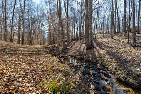 2925 Beechgrove Dr, Durham, NC 27705 photo 27