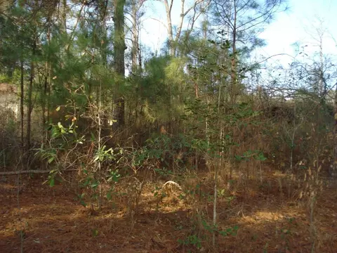 187 Obj Rd, Dunn, NC 28334 photo 4
