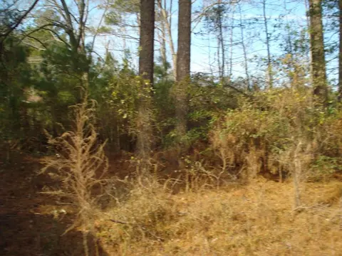 187 Obj Rd, Dunn, NC 28334 photo 5