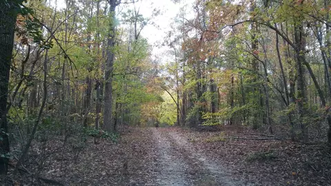 2201 Averette Rd, Wake Forest, NC 27587