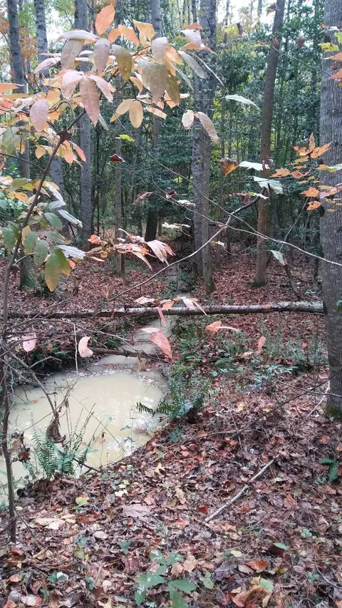 2201 Averette Rd, Wake Forest, NC 27587 photo 3