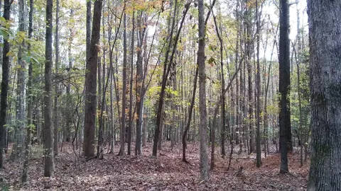 2201 Averette Rd, Wake Forest, NC 27587 photo 6
