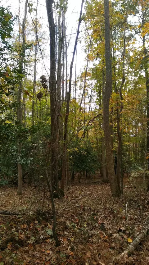 2201 Averette Rd, Wake Forest, NC 27587 photo 2