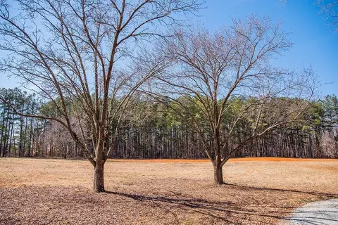 433 Noah Davis Rd, Roxboro, NC 27574 photo 92