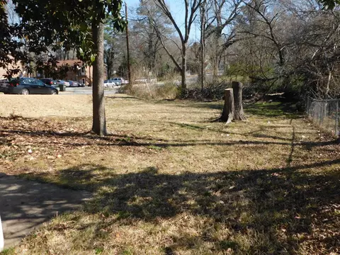 1014 Spruce St, Durham, NC 27701 photo 21
