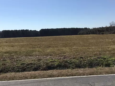 473 Cornwallis Rd, Teachey, NC 28464 photo 38