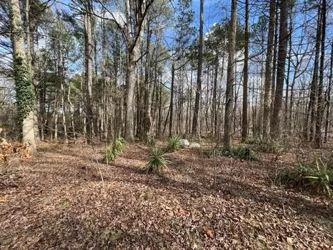 1047 Browns Crossroads Rd, Staley, NC 27355 photo 9