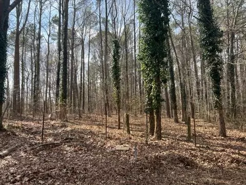 1047 Browns Crossroads Rd, Staley, NC 27355 photo 11
