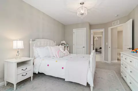 1113 Crescent Moon Ct, Durham, NC 27712 photo 29