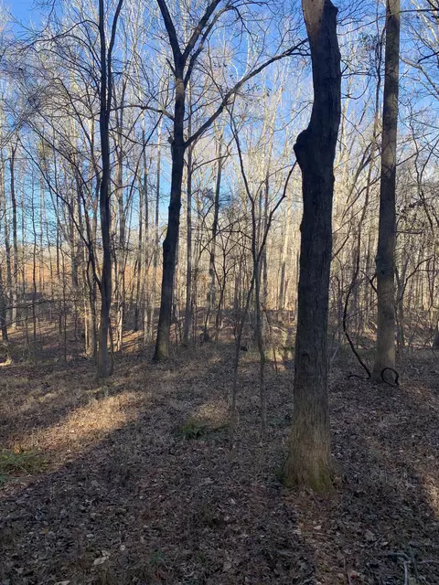 1300-1310 Valetta Rd, Durham, NC 27712 photo 3