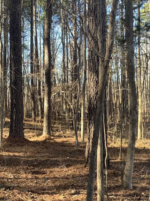 1300-1310 Valetta Rd, Durham, NC 27712 photo 1