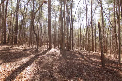2517 Baptist Rd, Durham, NC 27703 photo 40