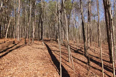 2517 Baptist Rd, Durham, NC 27703 photo 22