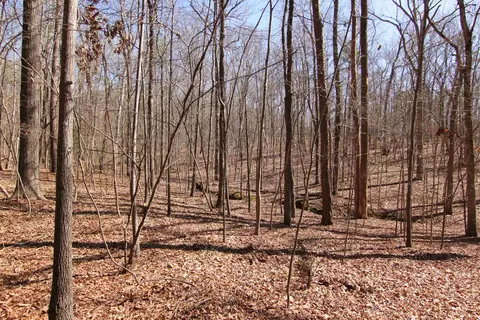 2517 Baptist Rd, Durham, NC 27703 photo 24
