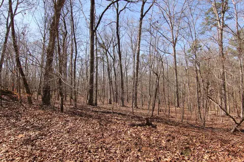 2517 Baptist Rd, Durham, NC 27703 photo 54