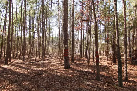 2517 Baptist Rd, Durham, NC 27703 photo 39