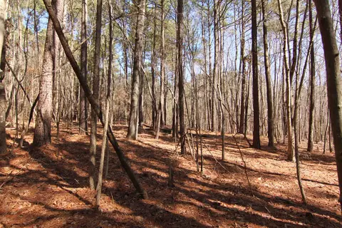 2517 Baptist Rd, Durham, NC 27703 photo 26