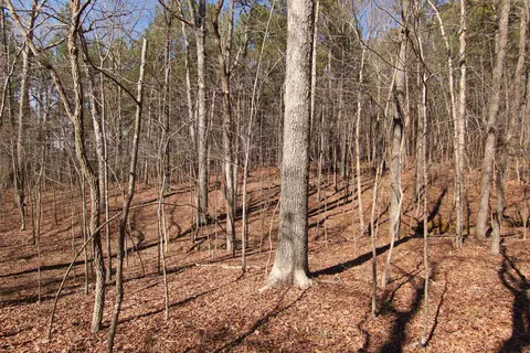 2517 Baptist Rd, Durham, NC 27703 photo 20