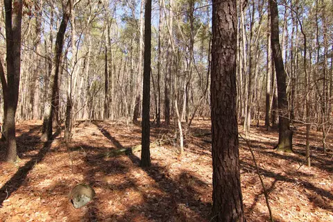 2517 Baptist Rd, Durham, NC 27703 photo 27