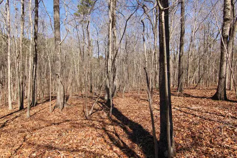2517 Baptist Rd, Durham, NC 27703 photo 13