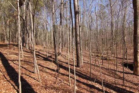 2517 Baptist Rd, Durham, NC 27703 photo 23