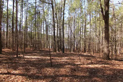 2517 Baptist Rd, Durham, NC 27703 photo 29
