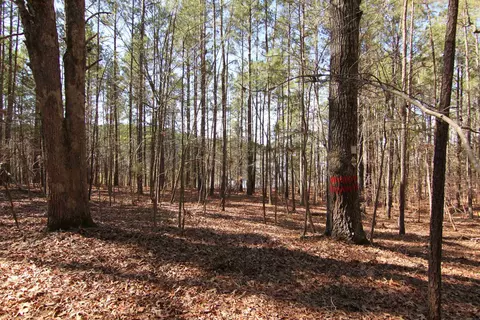 2517 Baptist Rd, Durham, NC 27703 photo 3