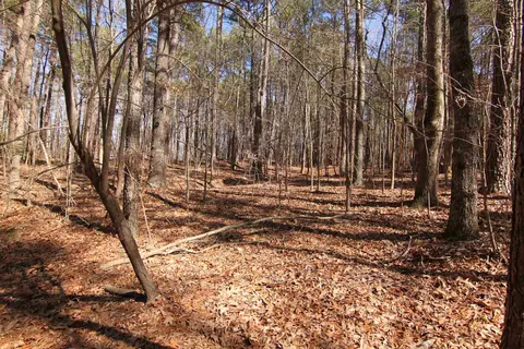 2517 Baptist Rd, Durham, NC 27703 photo 33
