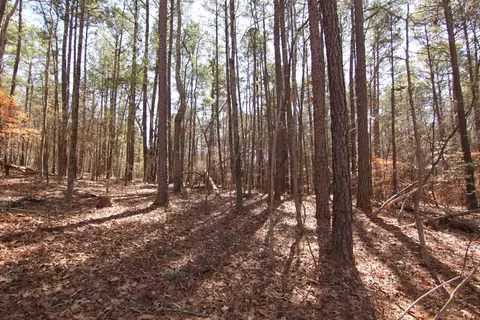 2517 Baptist Rd, Durham, NC 27703 photo 42