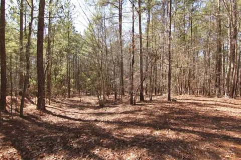 2517 Baptist Rd, Durham, NC 27703 photo 46