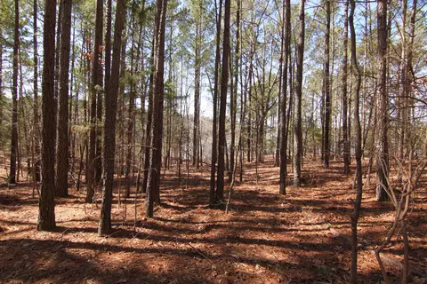 2517 Baptist Rd, Durham, NC 27703 photo 38