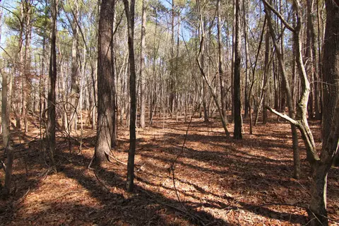 2517 Baptist Rd, Durham, NC 27703 photo 30