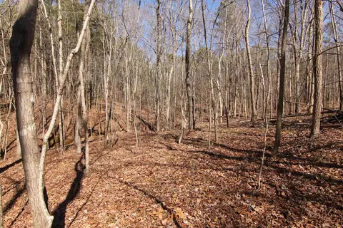 2517 Baptist Rd, Durham, NC 27703 photo 18