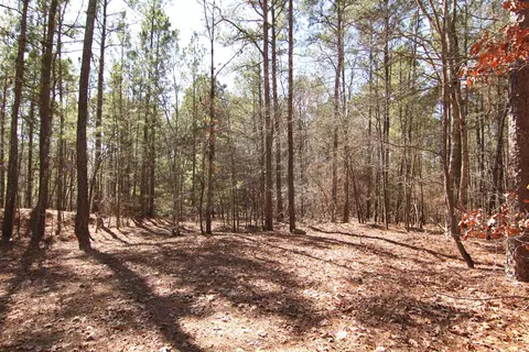 2517 Baptist Rd, Durham, NC 27703 photo 45