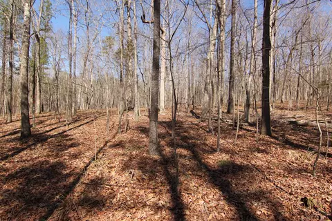 2517 Baptist Rd, Durham, NC 27703 photo 10
